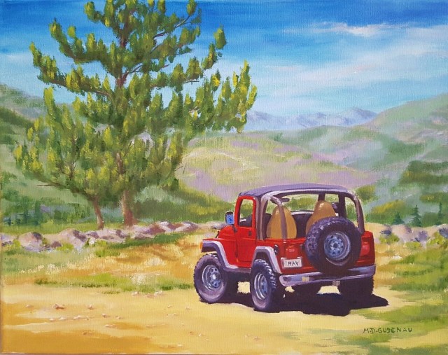 mike g car 20151202_140635-1_resized